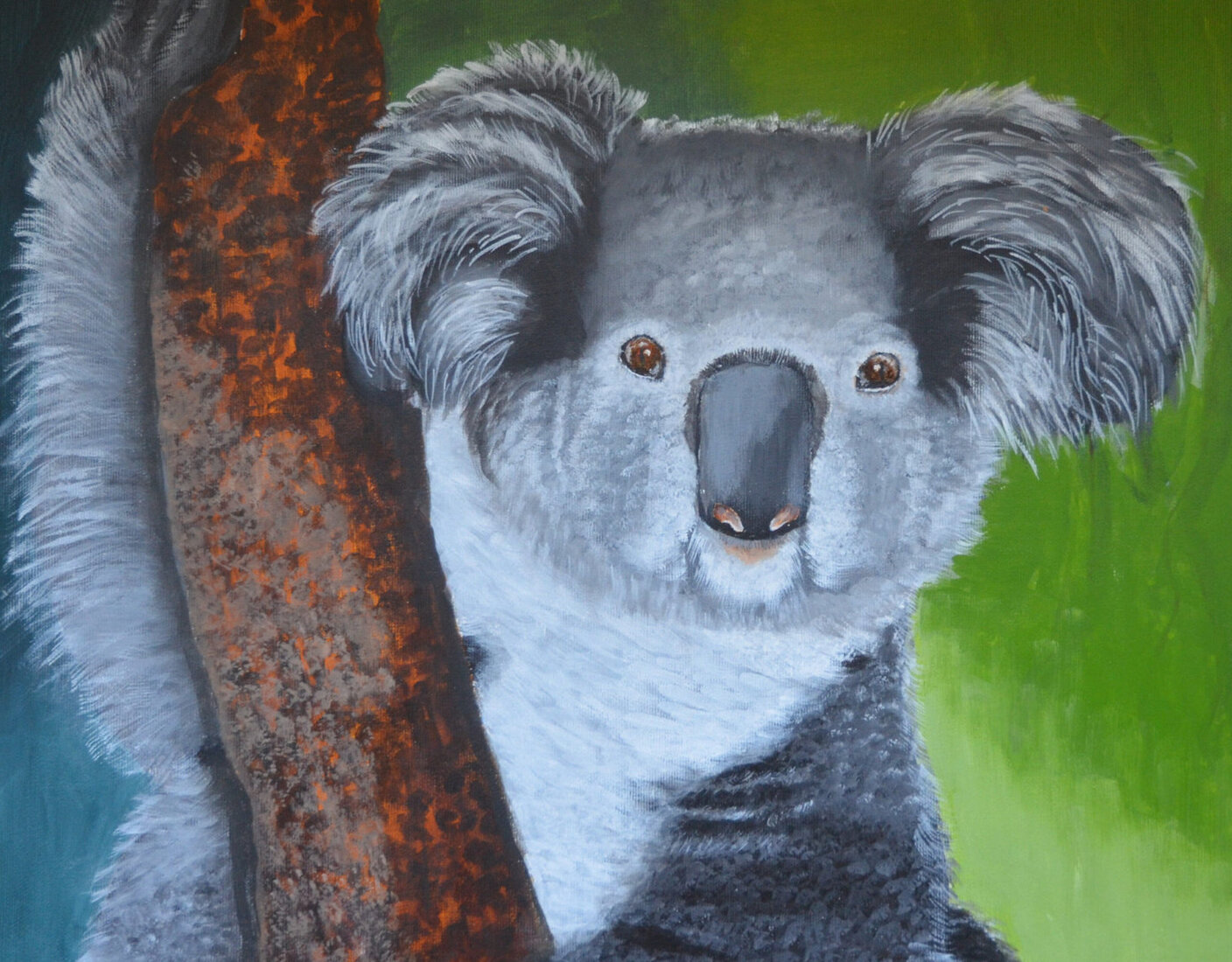 Koala