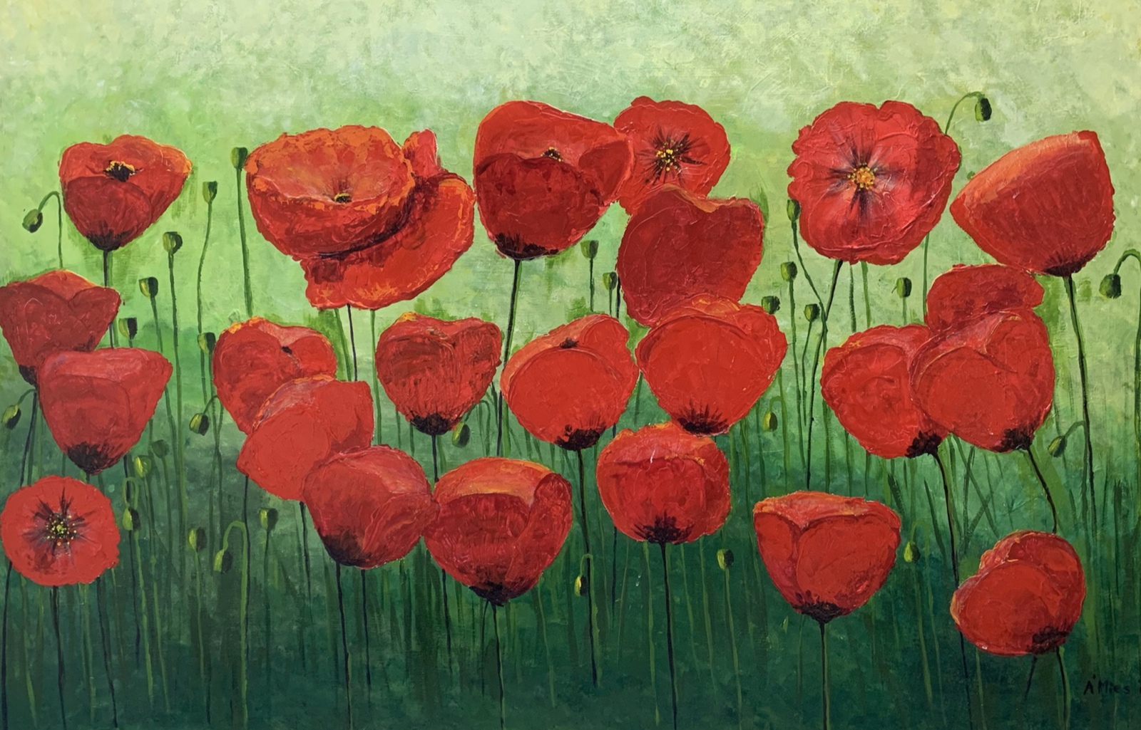 Field full of poppies