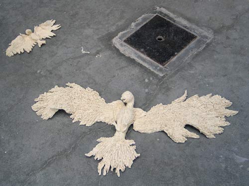 Vogels