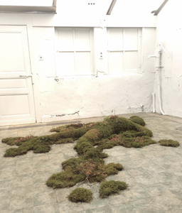 Ruimtelijk werk/Installatie 