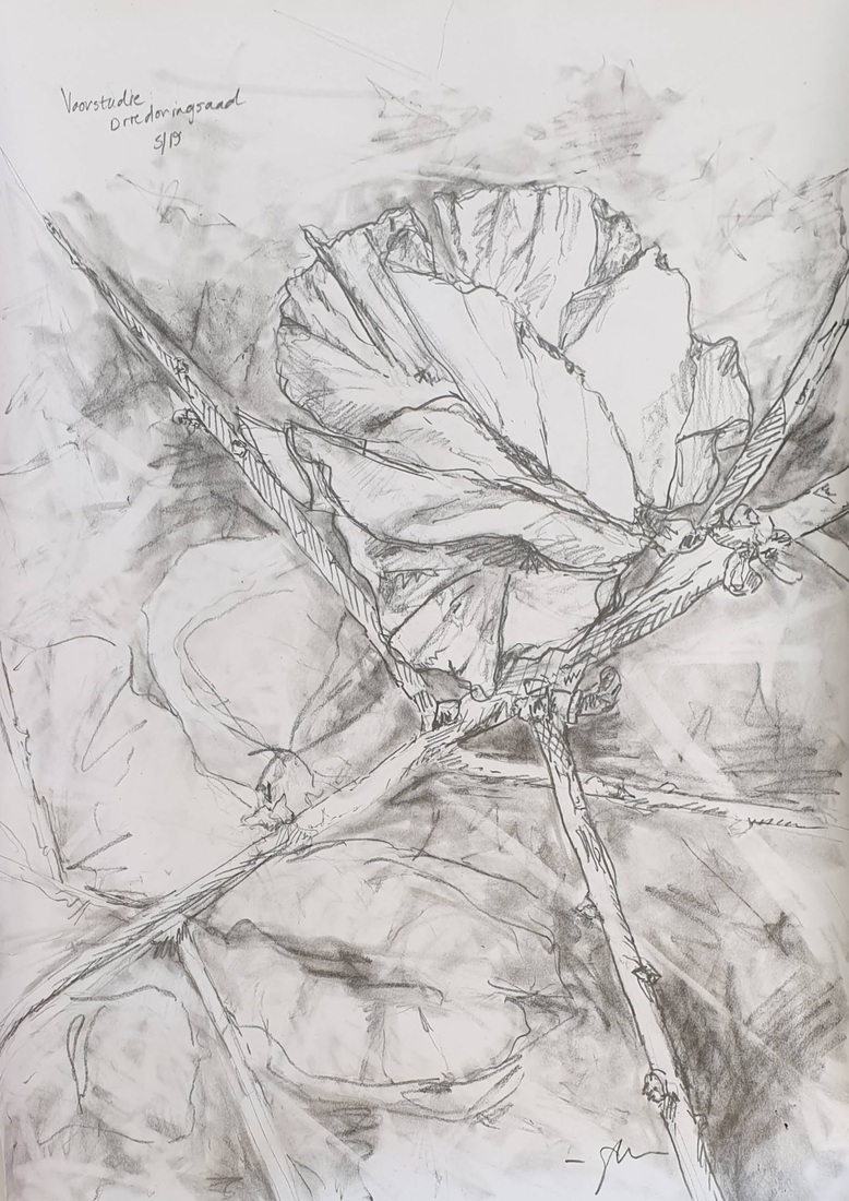 Study of a Three-thorn