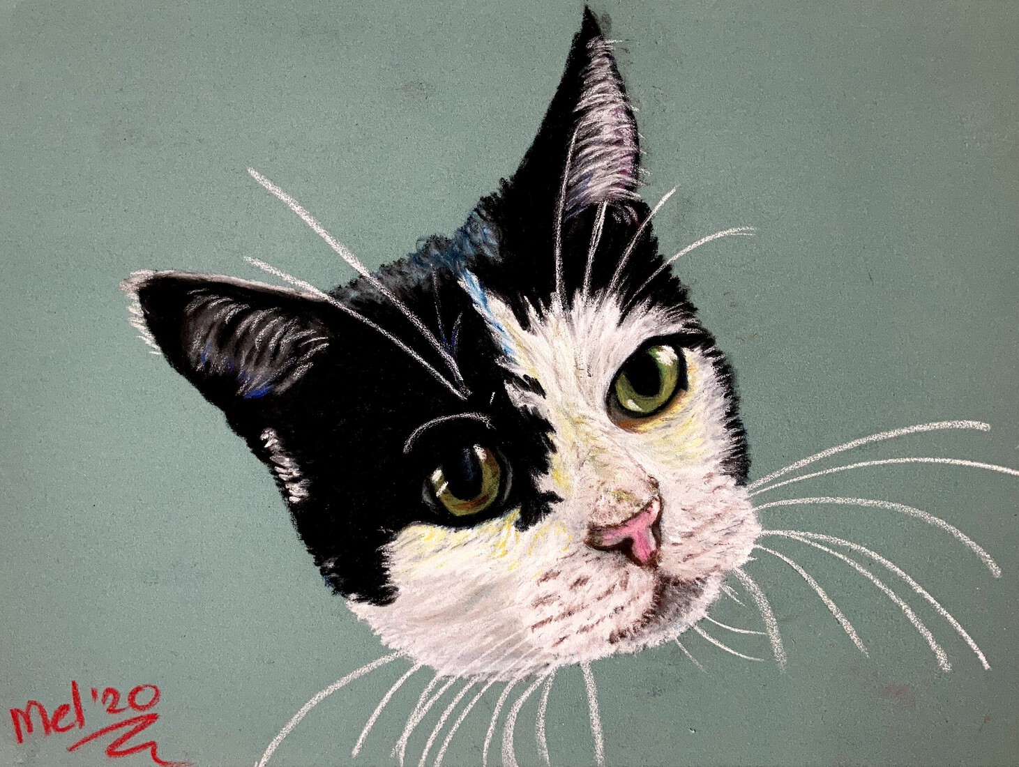 DJ kat van mijn moeder