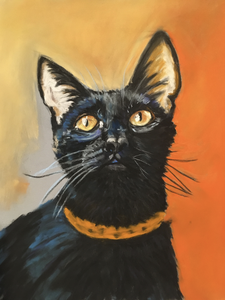 Katten in softpastel