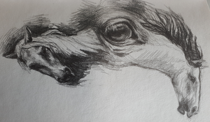 Tekeningen en tekeningen in gecombineerde techniek. Van portret tot schetsen van mens, dier en fantasievoorstellingen.