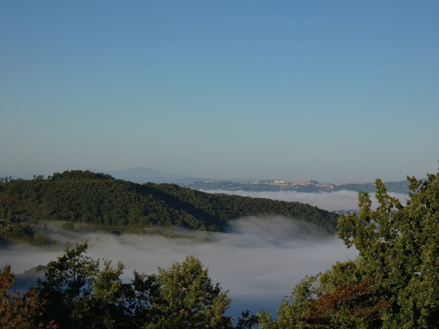 New Dawn Perugia 1  -  Italy 