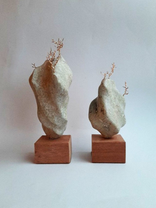 Steen en steencombinaties