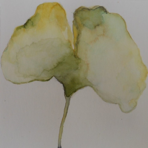 aquarel / mixedmedia