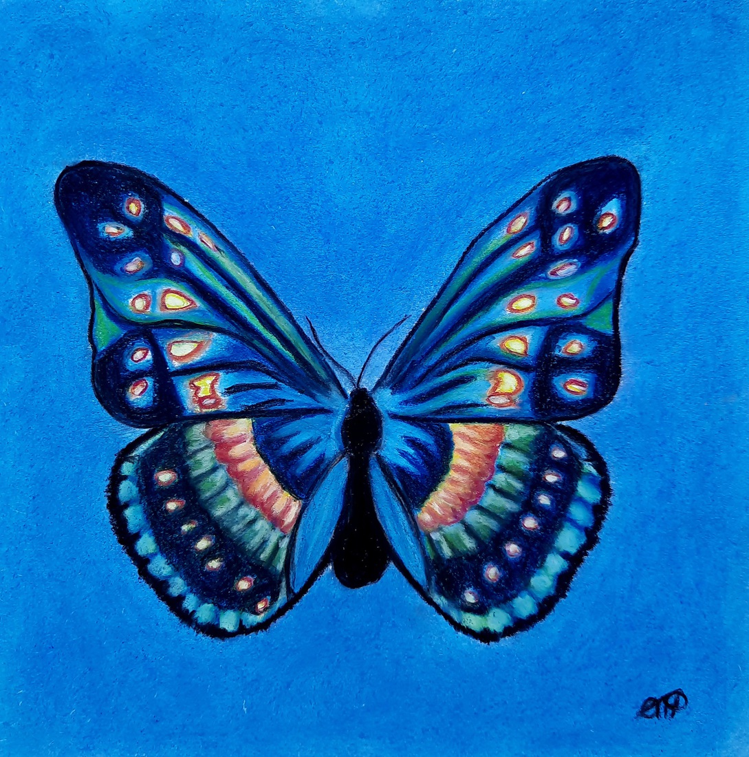 Prachtige vlinder (1)