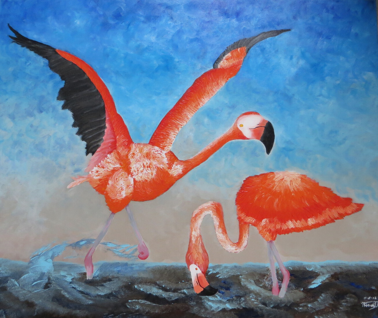 Flamingo's in het water