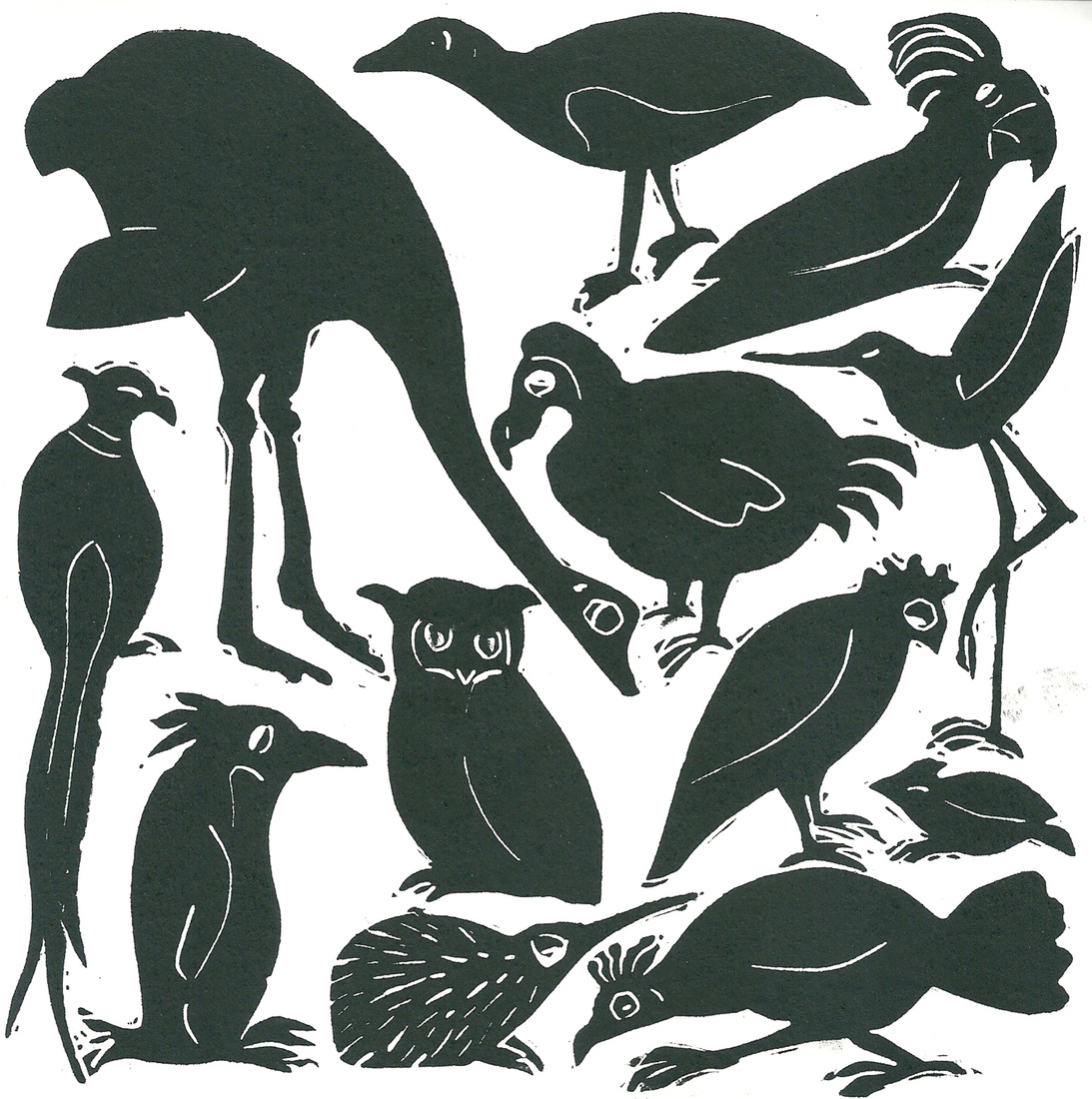 Les Oiseaux de A à Z