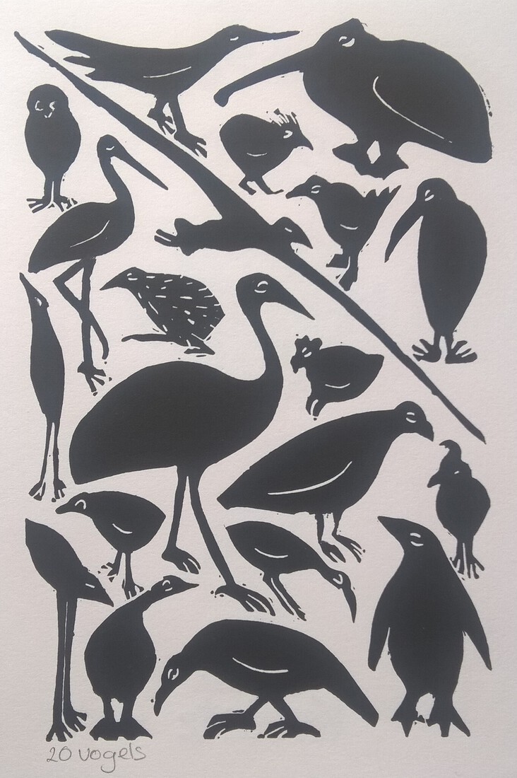 Koppermaandagprent 2020: 20 vogels