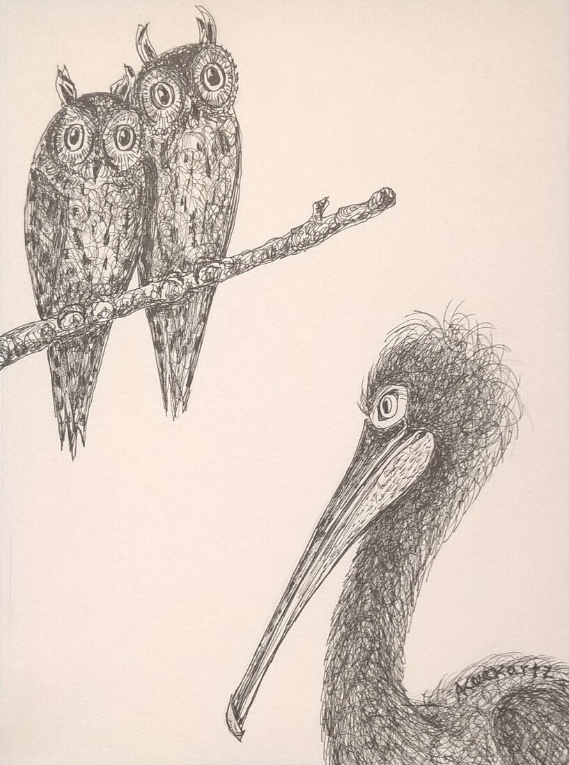 De uilen en de pelikaan