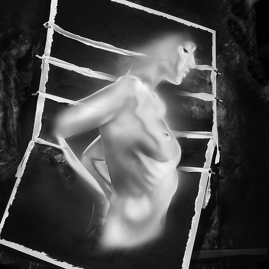 Hommage á Samuel van Hoogstraten 2