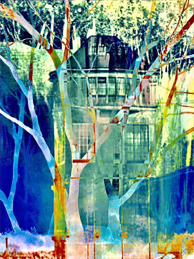 Bomen voor het ‘huis