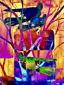 Landschappen met vogels