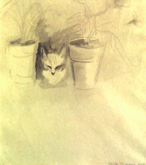 Poes in de vensterbank