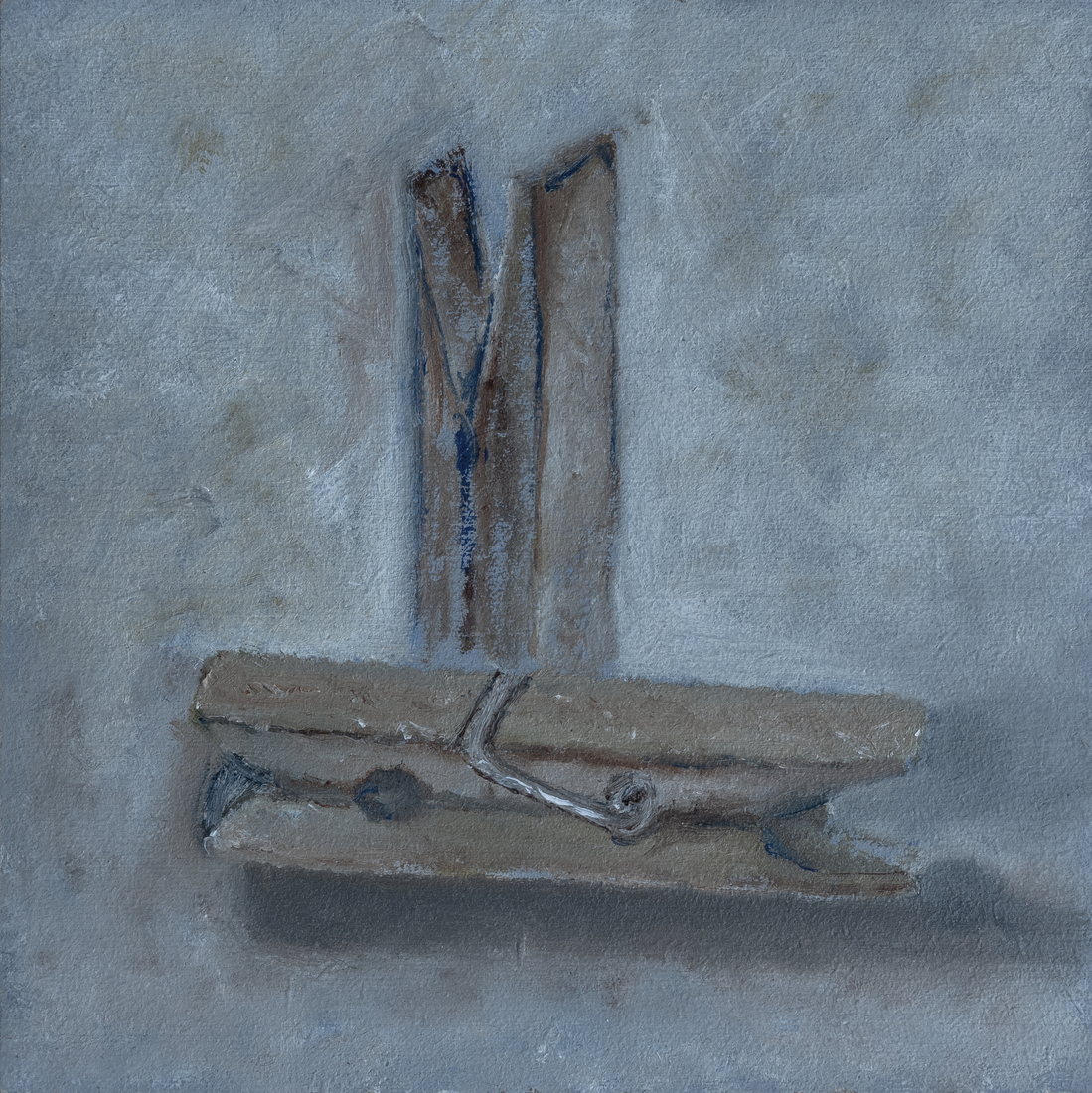 Wasknijpers