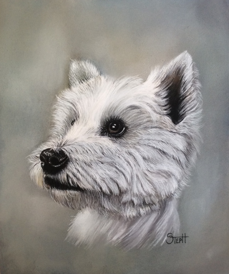 West highland white terrier 
