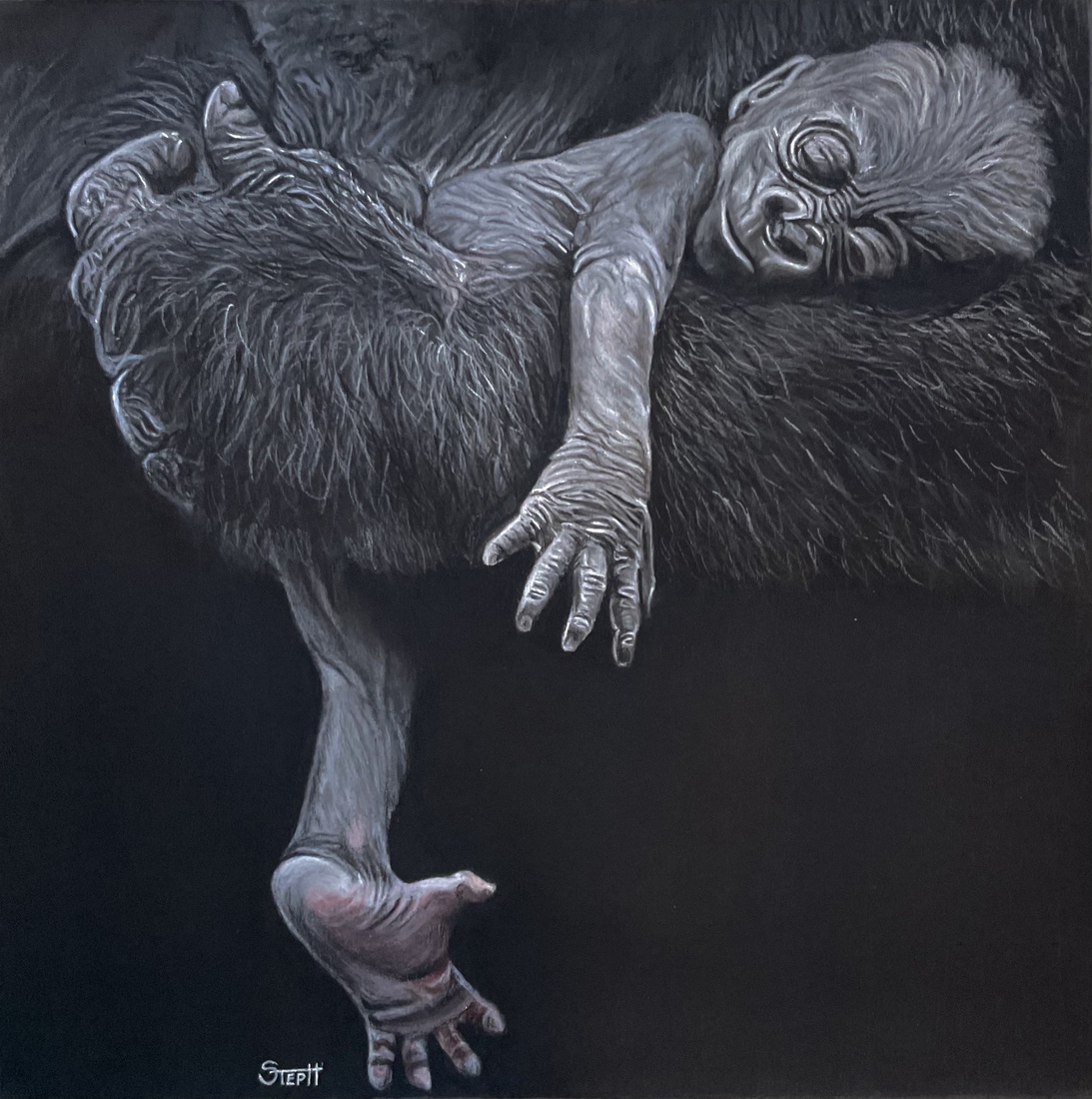 Gorilla baby op moeders arm