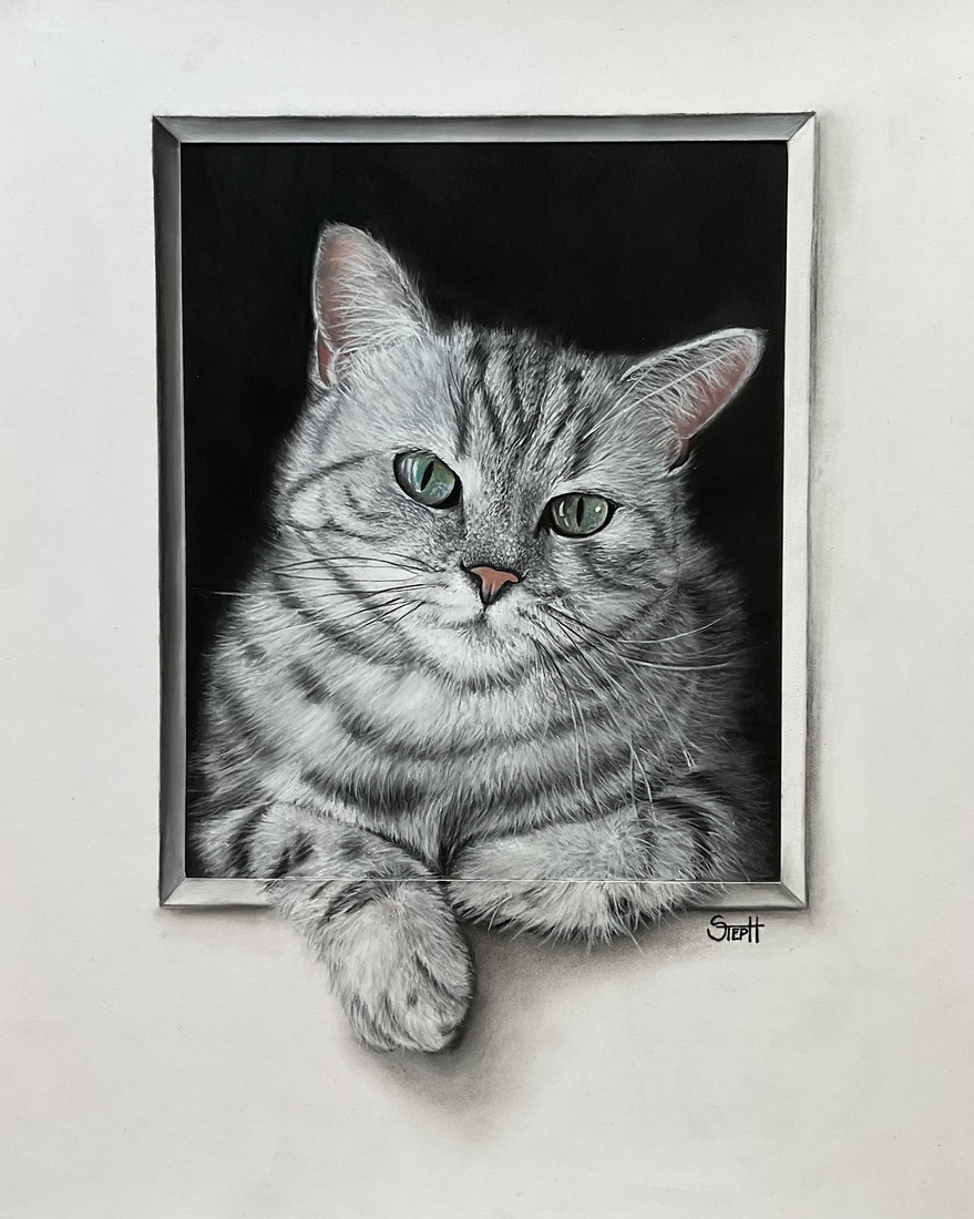 Sam, Britse korthaar 