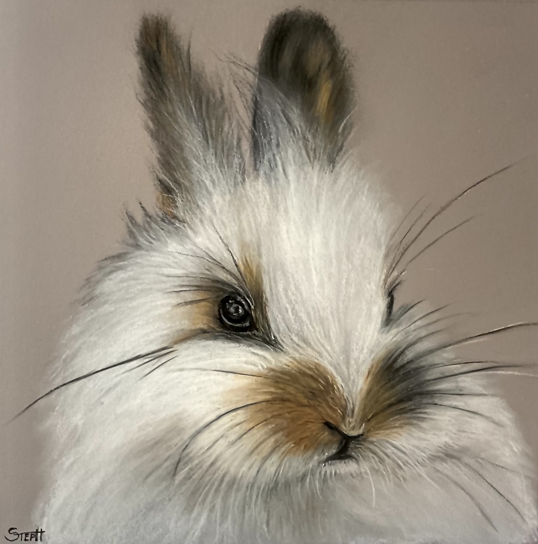 Pasteltekening konijntje