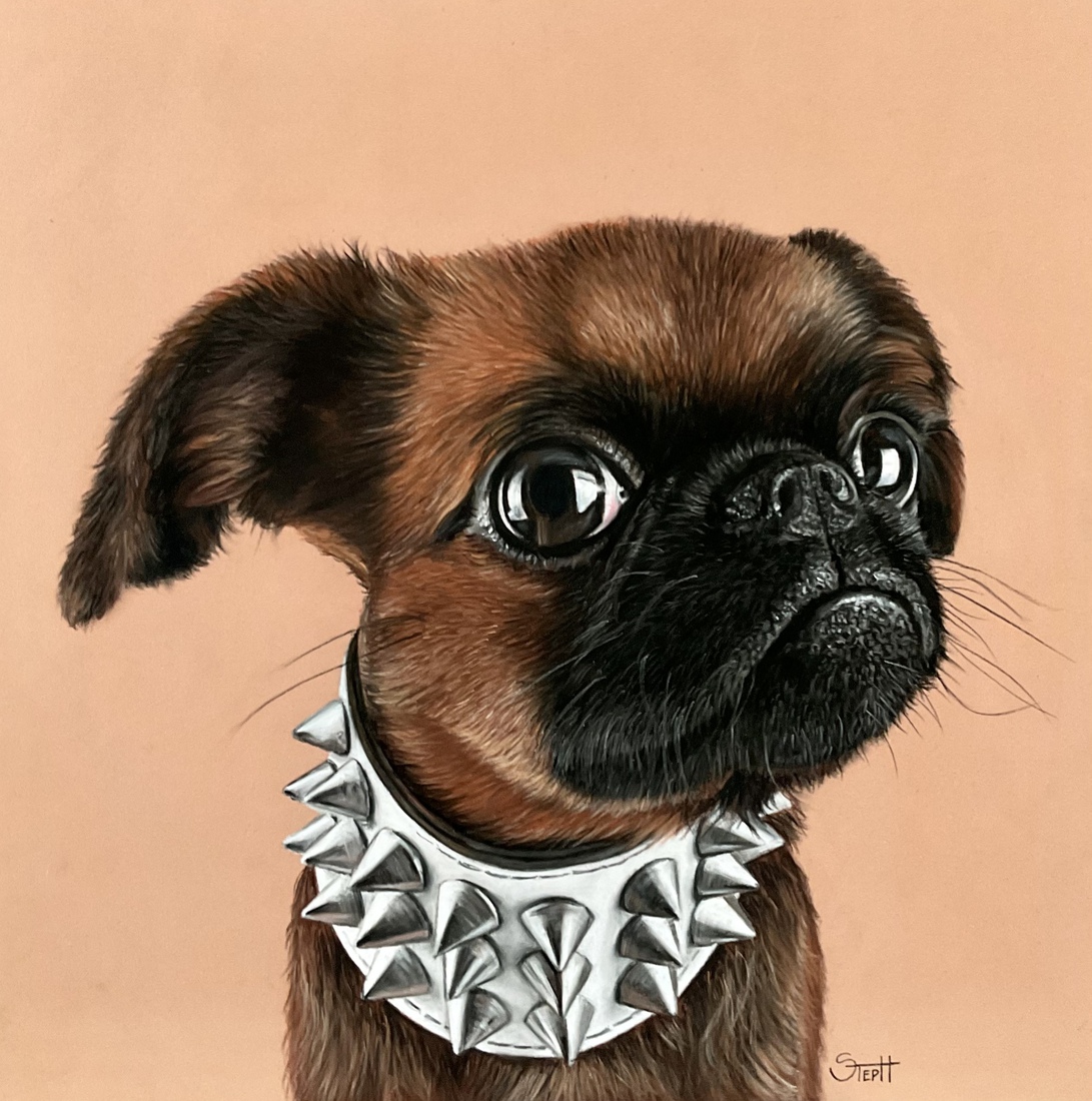 Spike, Petit Brabançon 