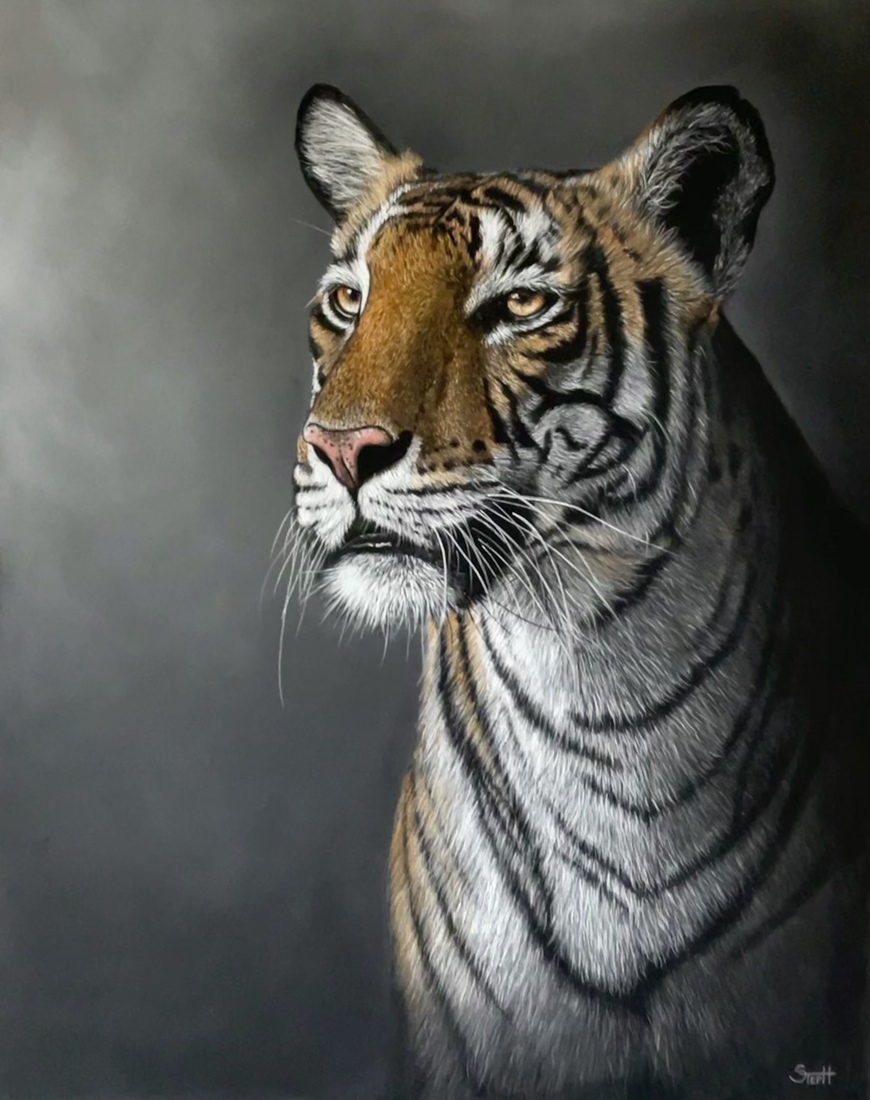 Thaïs, majestueuse tijger