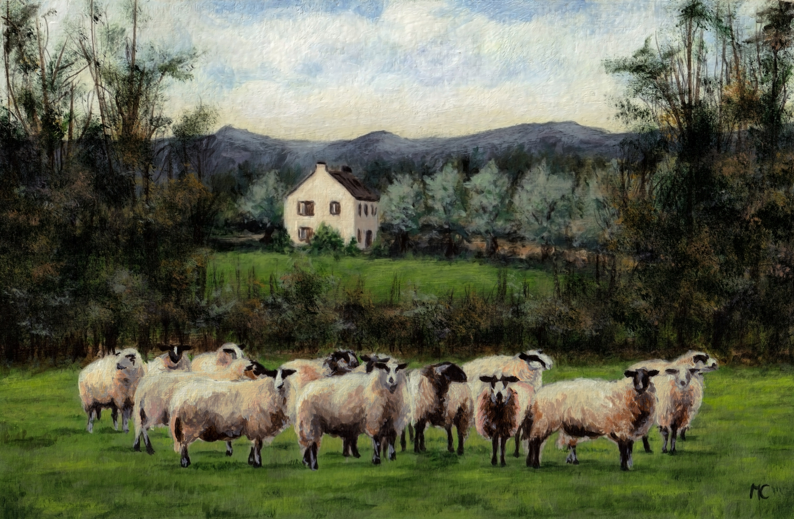 Schaapachtig Landschap