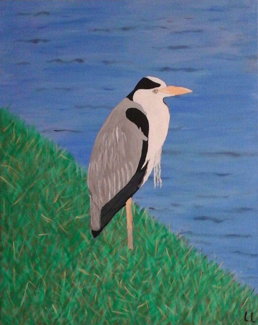 Reiger langs het water