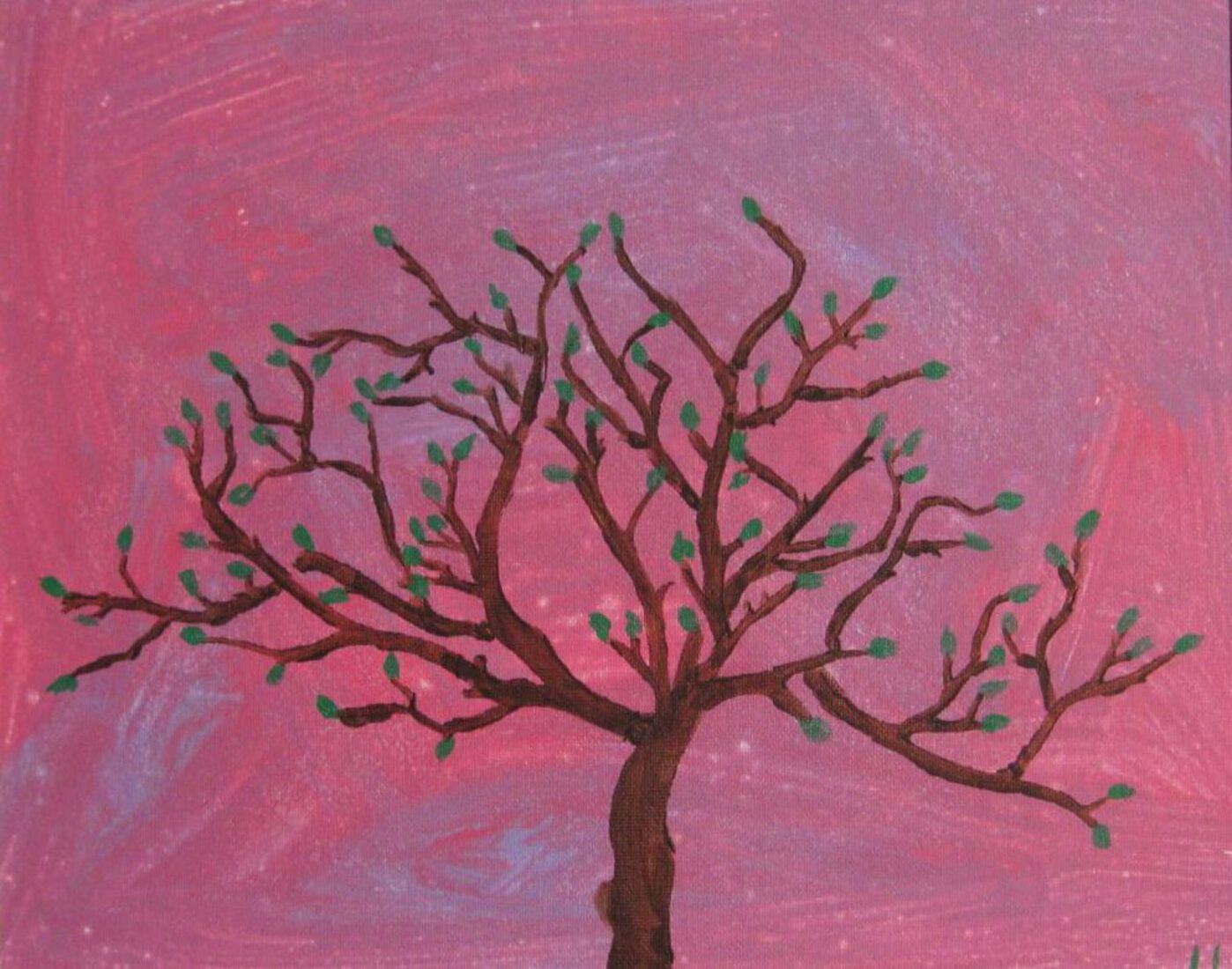 Boom in ochtendrood 1