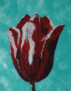 Bloemen heb ik altijd mooi gevonden. 