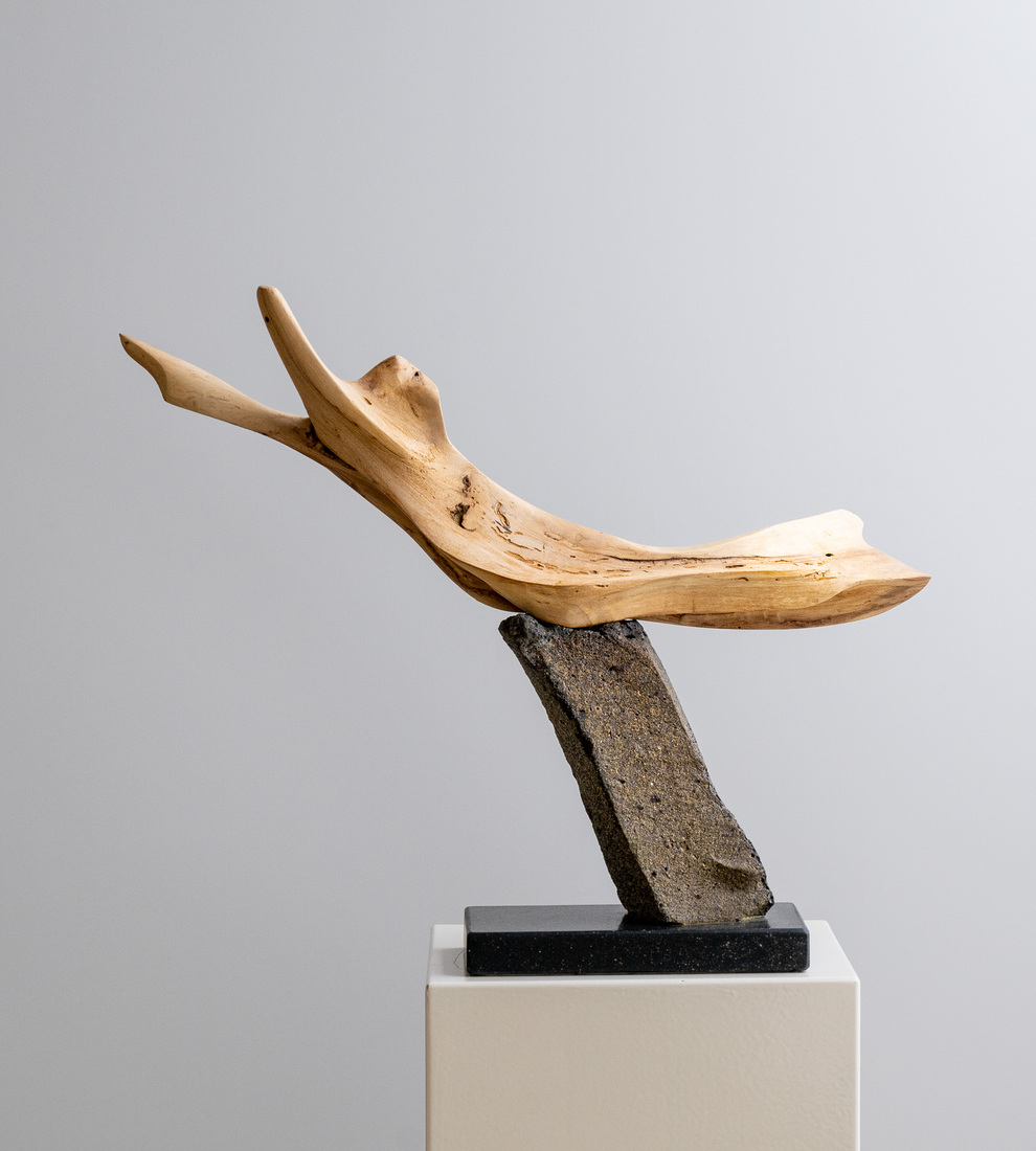 Body in perfect balance - 1