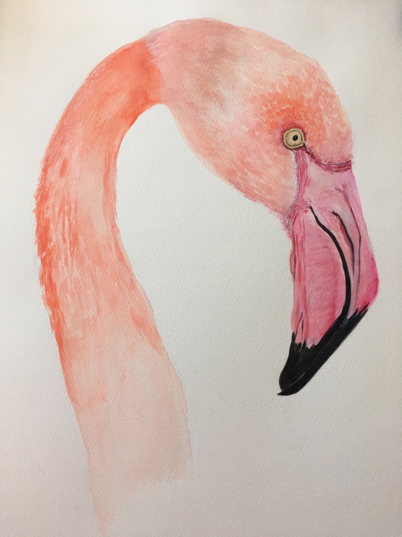 FLAMINGO