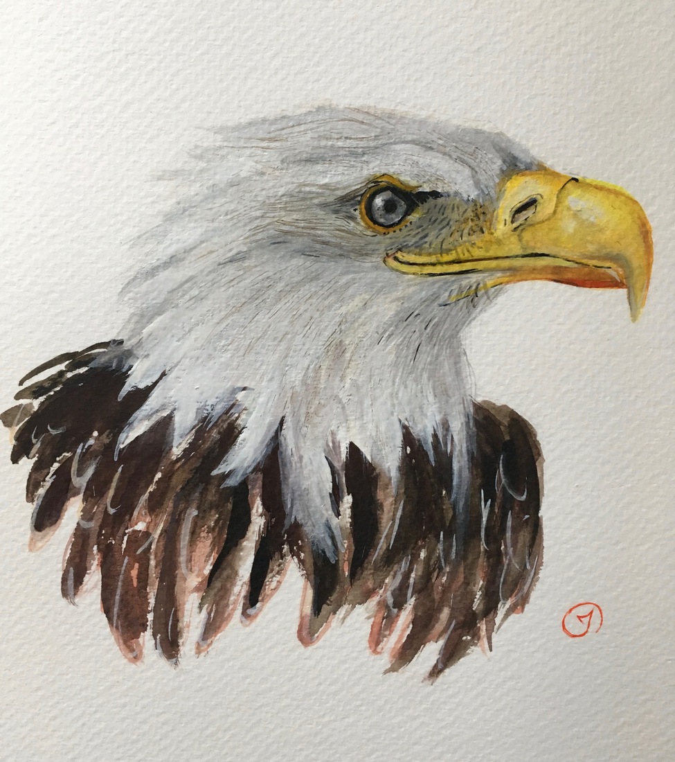 Amerikaanse ZEEAREND