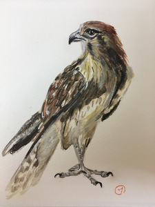 Honderden dieren realistisch geportretteerd in :  aquarel, acryl of olieverf