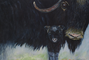 Dieren schilderen of tekenen, daar wordt ik blij van