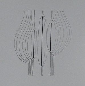 Monochrone kleuren van zwart/ wit