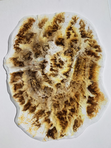 De huid van bomen vastgelegd met organische inkt op papier in diverse kleurschakeringen. 