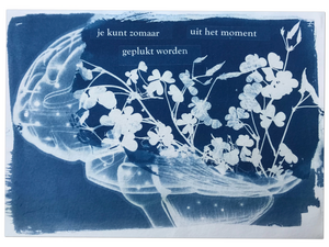 Jacolien de Jong en dichter Suzanne van Leendert werkten samen aan het project Poëtische blauwdruk van de natuur. Jacolien maakte Cyanotype van planten en verwerkte hierin de poëtische teksten van Suzanne. Dit resulteerde in twee exposities en een gelijknamig boek. En een interactief project met publiek . 