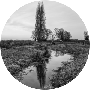 In dit beeldverhaal heb ik geprobeerd de overgang van het beekje 'de Kanjel' naar de rivier 'de Geul' tot aan de monding van de Geul in de Maas in beeld te brengen.
