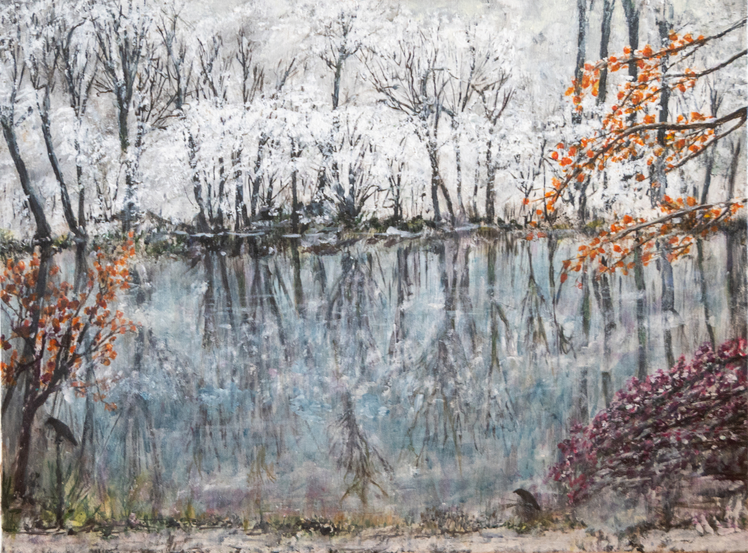 Volop winter in november - Plitvice, Kroatië