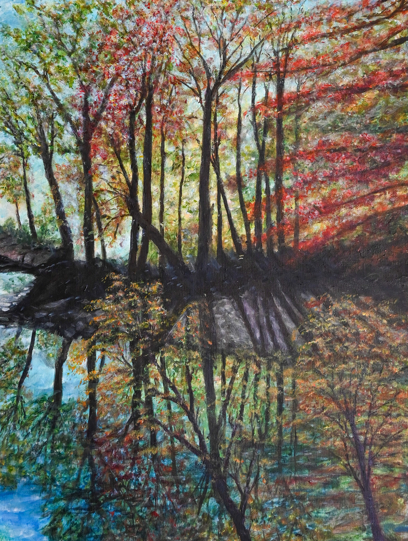 Herfstkleuren in de Ardennen