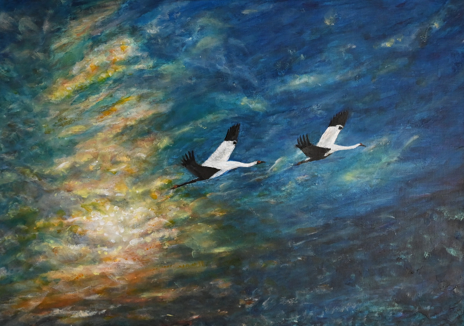 Kraanvogels bij zonsondergang