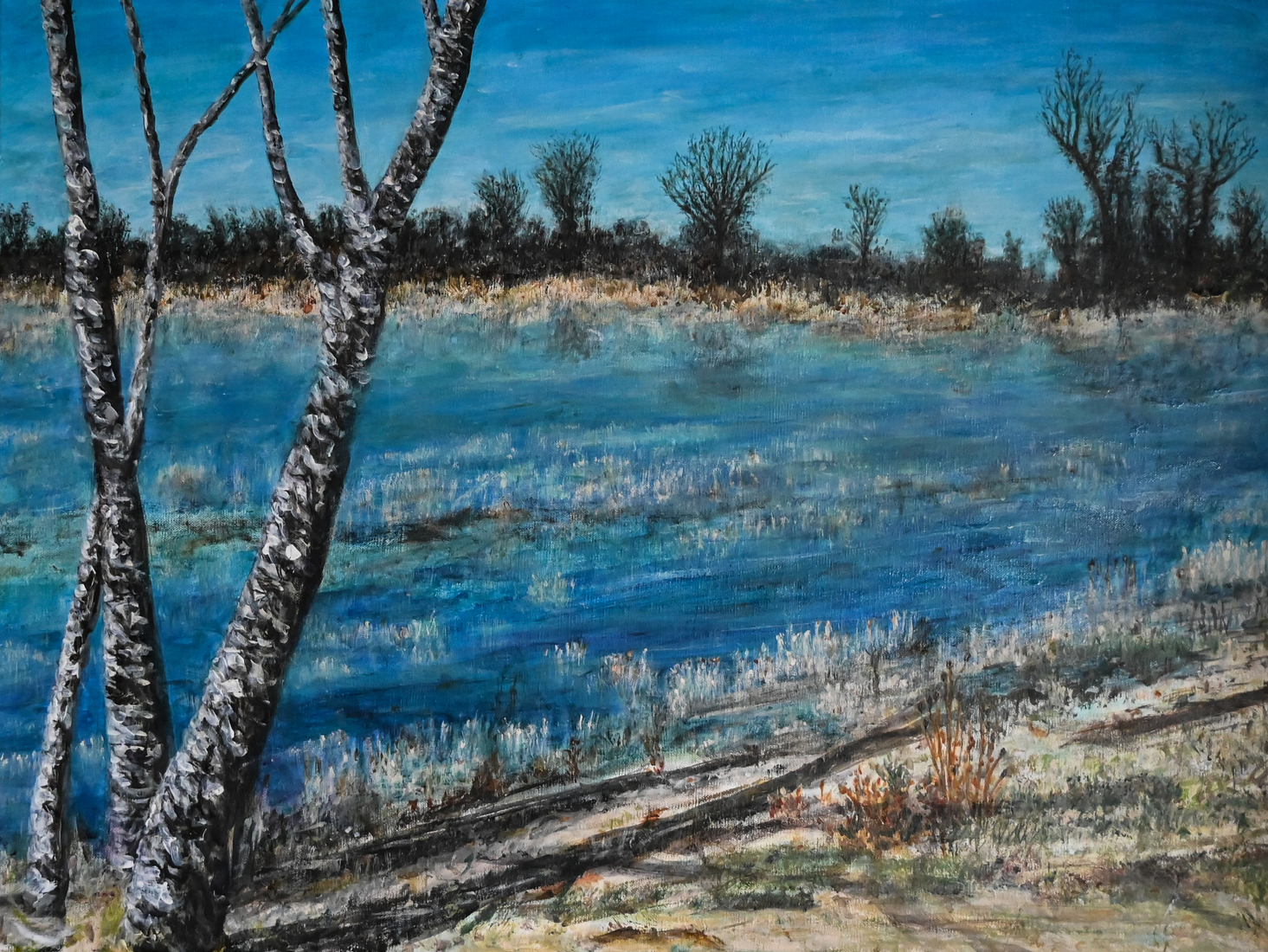 De waterleidingduinen