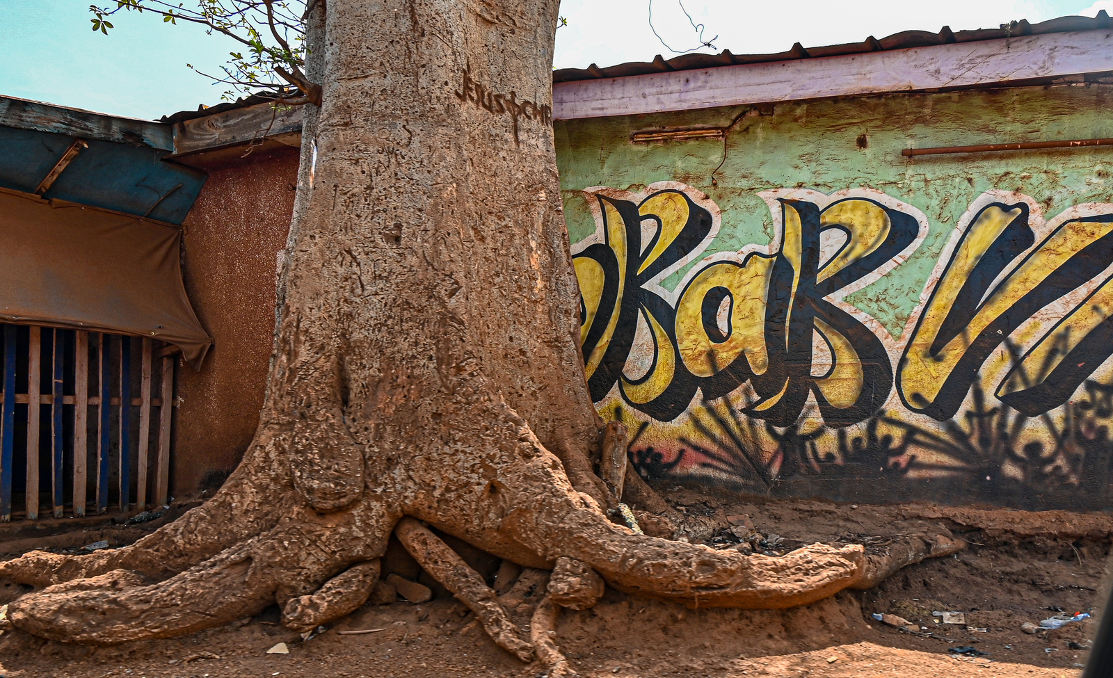 Write on the tree your name
