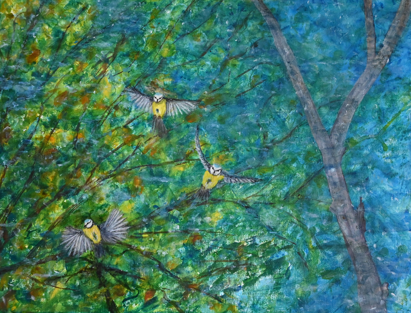 Pimpelmezen boven water