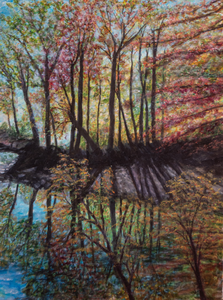 Door het creëren van een nieuw beeld uit een compilatie van beelden een nieuwe ervaring ondergaan.