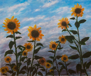 Stillevens en vrije natuur