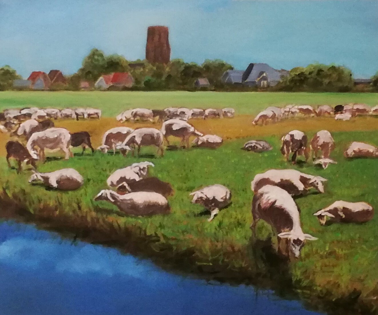 Schapen met de toren van Ransdorp op de achtergrond