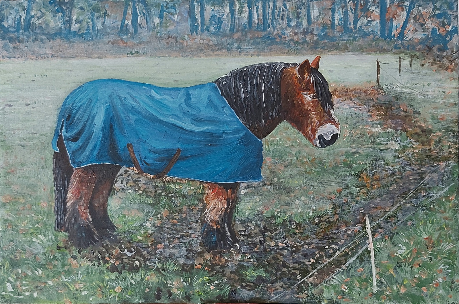 Paard met blauwe jas